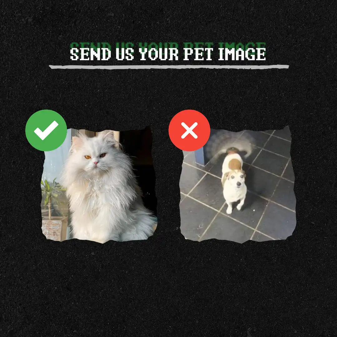 Custom Pet Illustration  | Pet Lovers